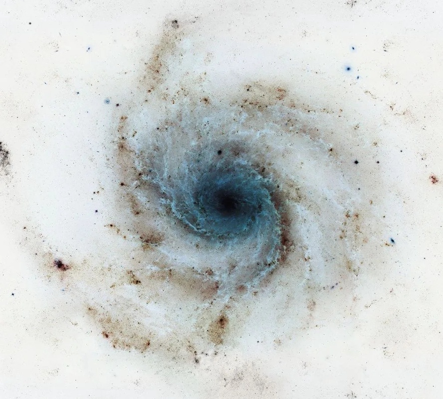 Фотообои и фрески на стену - в ванную комнату, под мрамор, белые, с синим