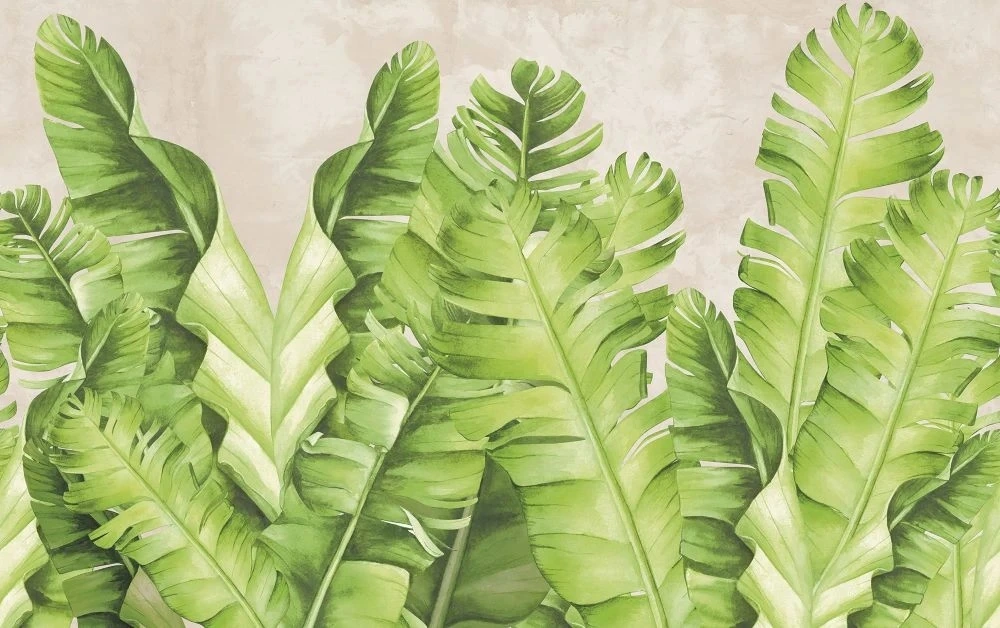 Фотообои на стену - в загородный дом, листья, тропические, зеленые