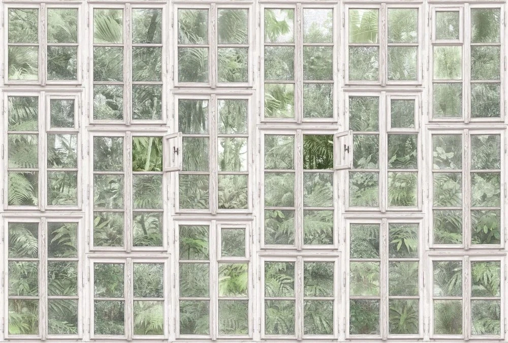 Фотообои на стену - в загородный дом, тропики, окно