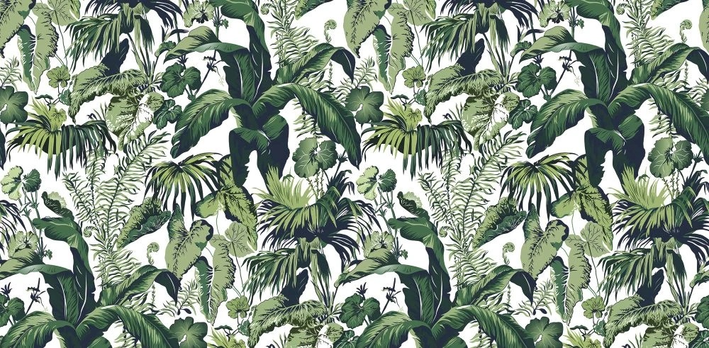 Фотообои на стену - в загородный дом, тропические растения, на белом фоне