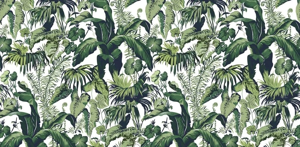 Фотообои на стену - в загородный дом, тропические растения, на белом фоне