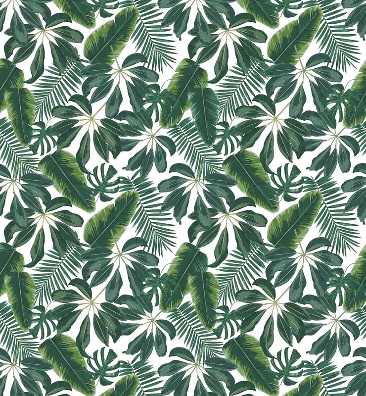 Фотообои и фрески на стену - в  загородный дом, листья, тропические, темно зеленые, на белом фоне