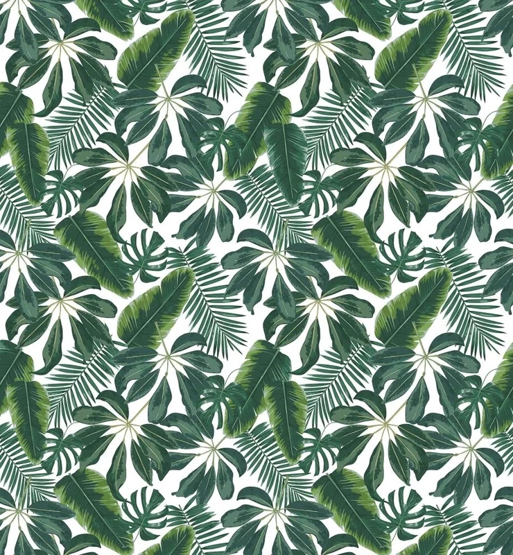 Фотообои и фрески на стену - в  загородный дом, листья, тропические, темно зеленые, на белом фоне