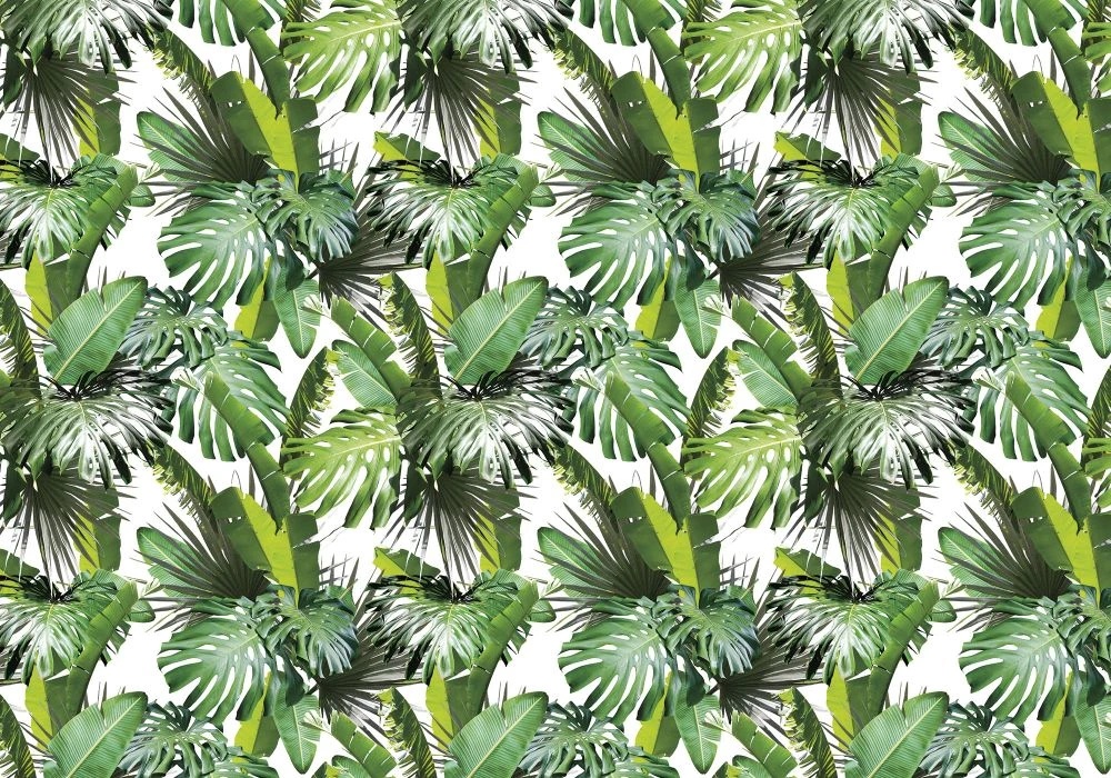 Фотообои на стену - в загородный дом, листья, тропические, ярко зеленые, на белом фоне