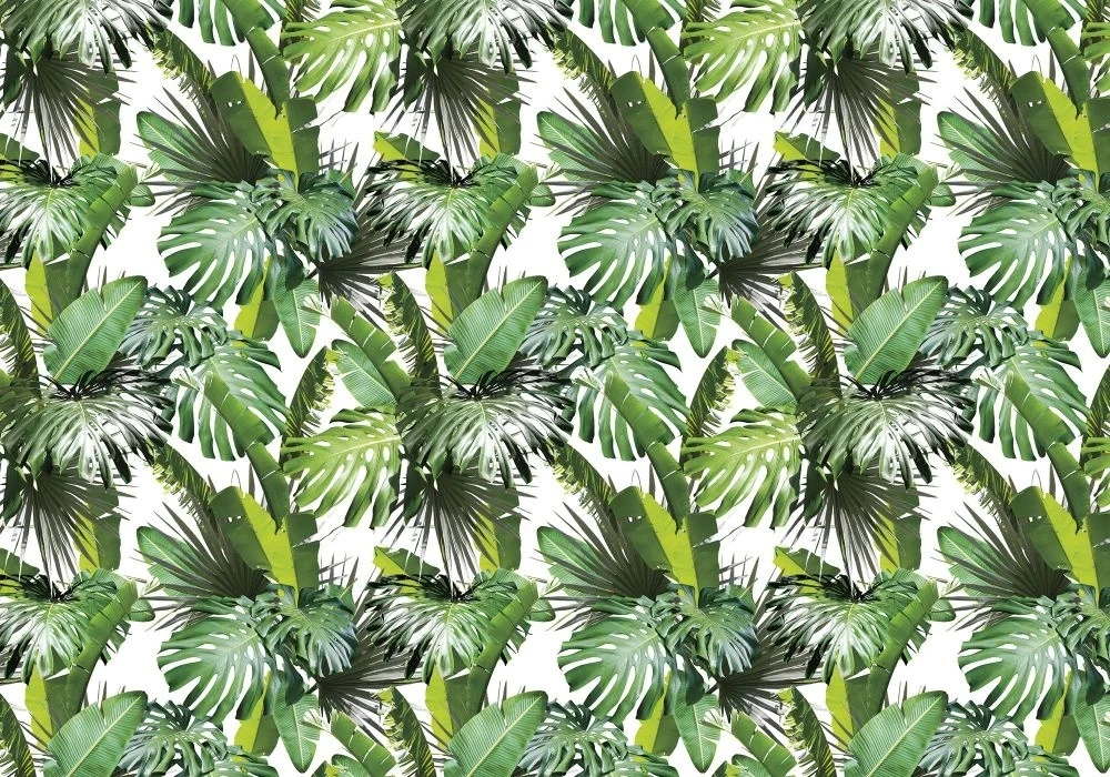 Фотообои и фрески на стену - в загородный дом, листья, тропические, ярко зеленые, на белом фоне