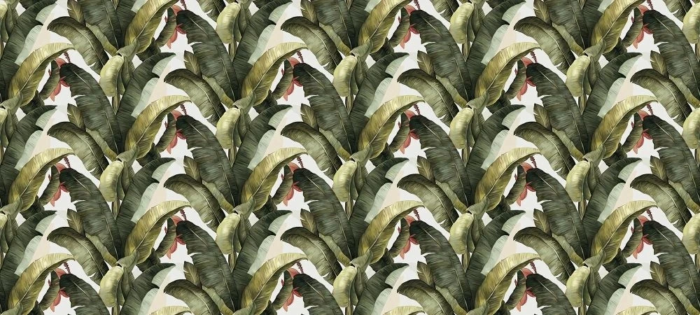 Фотообои на стену - в загородный дом, листья банановые, зеленые