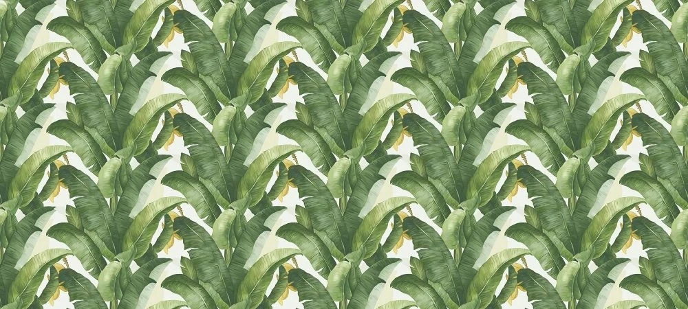 Фотообои на стену - в загородный дом, листья банановые, ярко зеленые