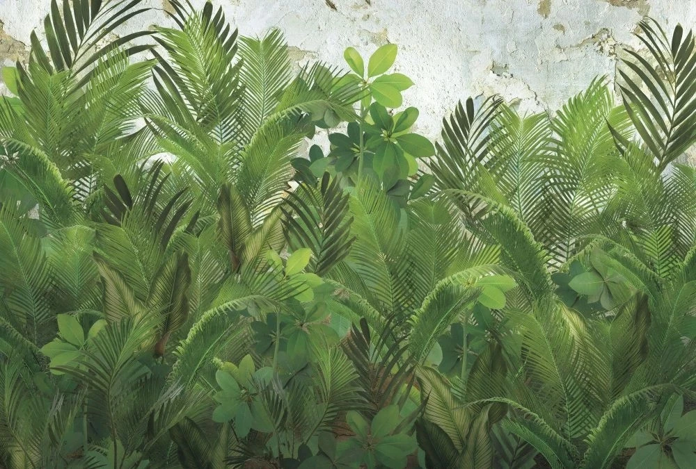 Фотообои на стену - в загородный дом, пальмы, зеленые