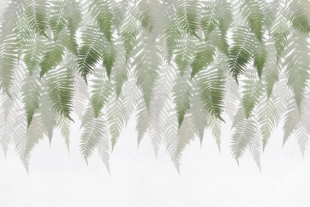 Фотообои на стену - в загородный дом, тропические листья, листья папоротника, свисающие