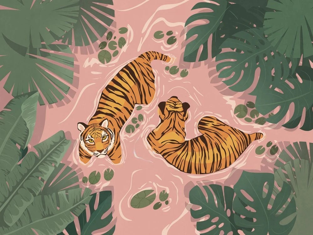 Фотообои и фрески на стену - в детскую комнату, тигры, купаются, розовая вода, тигры купаются