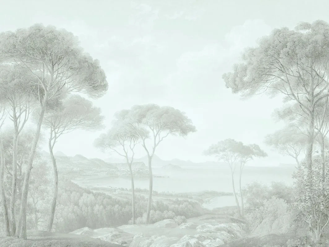 Фотообои и фрески на стену - пейзаж, современные, природа, пейзаж с соснами, нежный лес на стену, изящная, светлый пейзаж, красивый пейзаж, в спальню, популярные, новинки