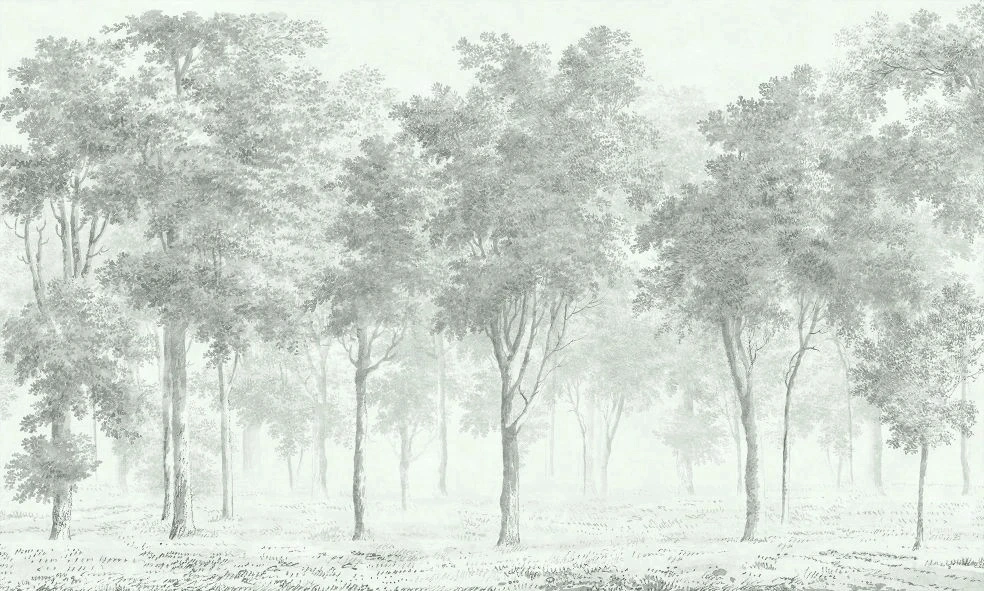 Фотообои и фрески на стену - пейзаж, светлые деревья, зеленые, бирюзовые, лес, лес в тумане, новинки