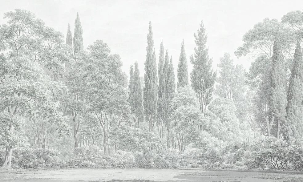 Фотообои и фрески на стену - пейзаж, лес, светлый лес, современные, деревья в лесу