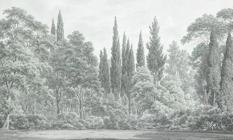 Фотообои и фрески на стену - пейзаж, лес, серо-зеленая, светлый лес, современные, деревья в лесу