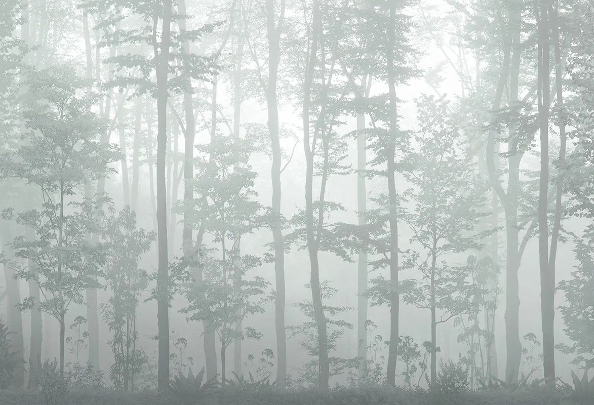 Фотообои и фрески на стену - пейзаж, деревья, сосны, сосновый лес, природа, зеленая