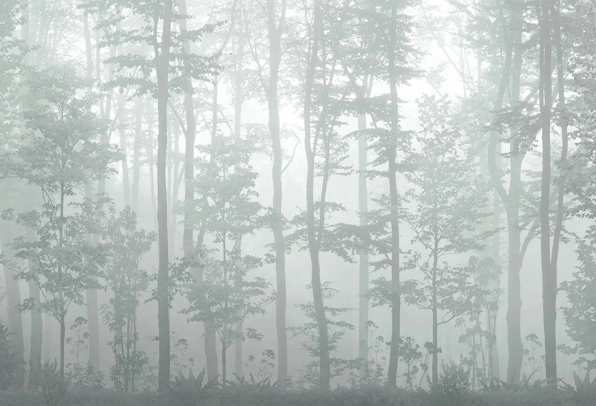 Фотообои на стену - пейзаж, деревья, сосны, сосновый лес, природа, зеленая