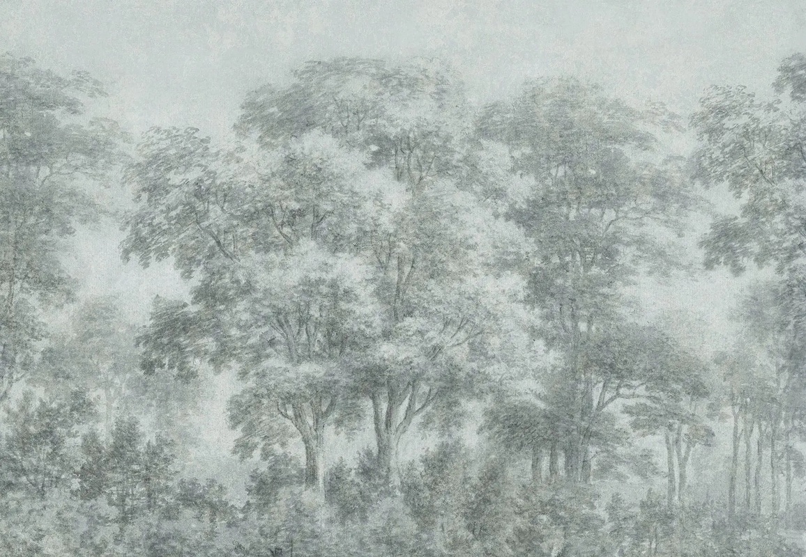 Фотообои и фрески на стену - пейзаж, лес, деревья, зеленая