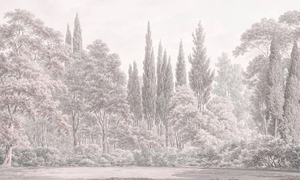 Фотообои и фрески на стену - пейзаж, лес, бежевые, бежевый лес, серый лес, светлые деревья, деревья в лесу, светлый пейзаж