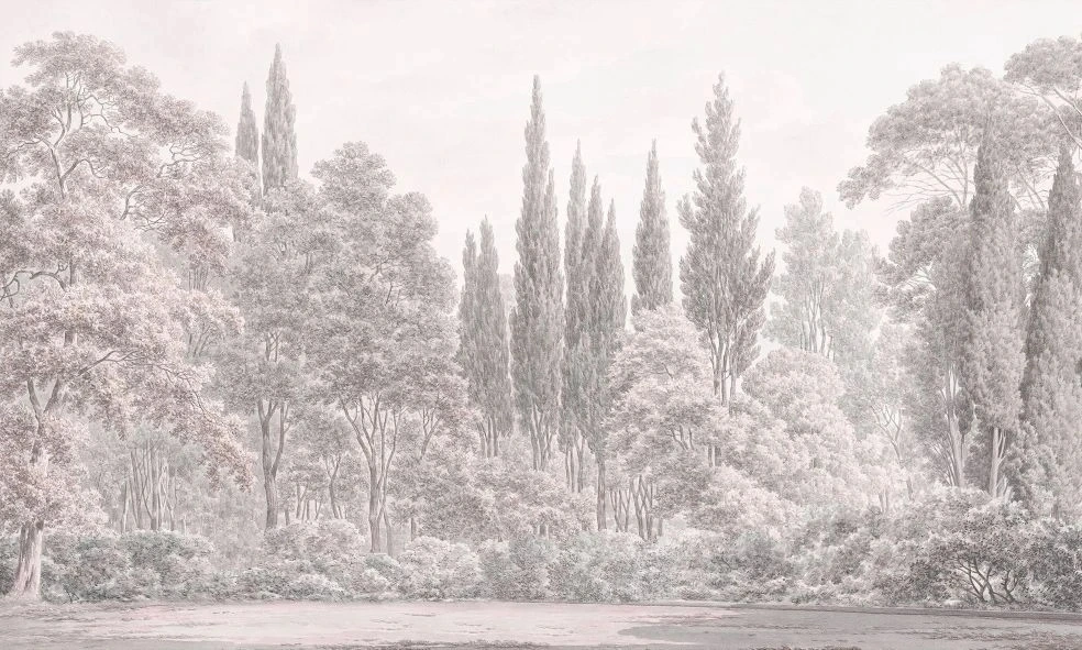 Фотообои и фрески на стену - пейзаж, лес, бежевые, бежевый лес, серый лес, светлые деревья, деревья в лесу, светлый пейзаж, новинки