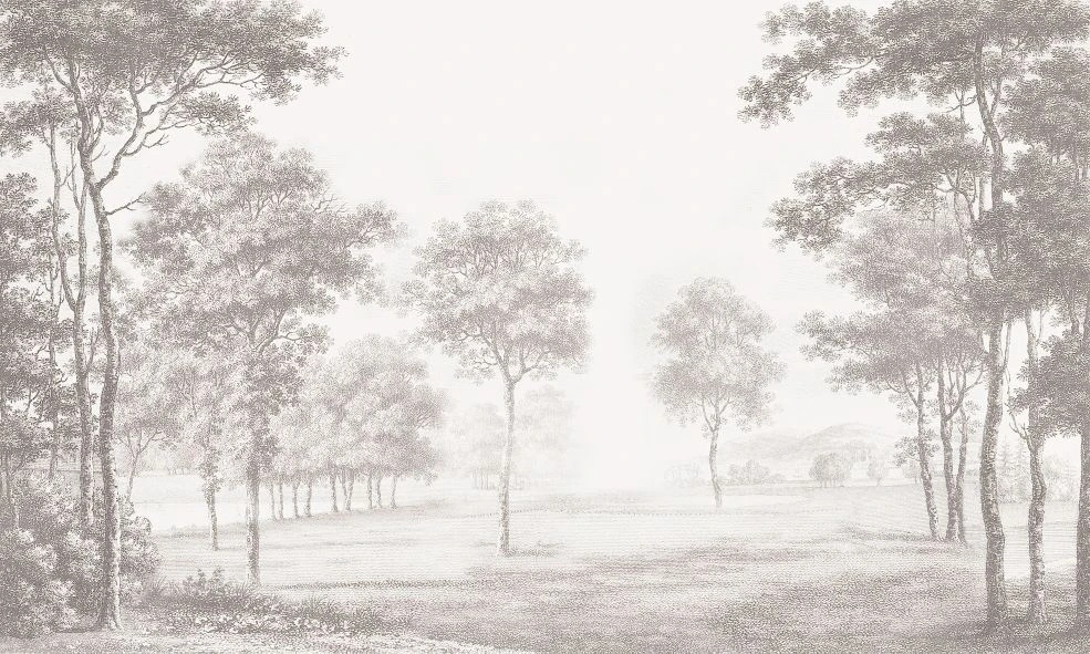 Фотообои и фрески на стену - пейзаж, графика, гравюра, лес, деревья, бежевые, в коридор, в прихожую, в загородный дом