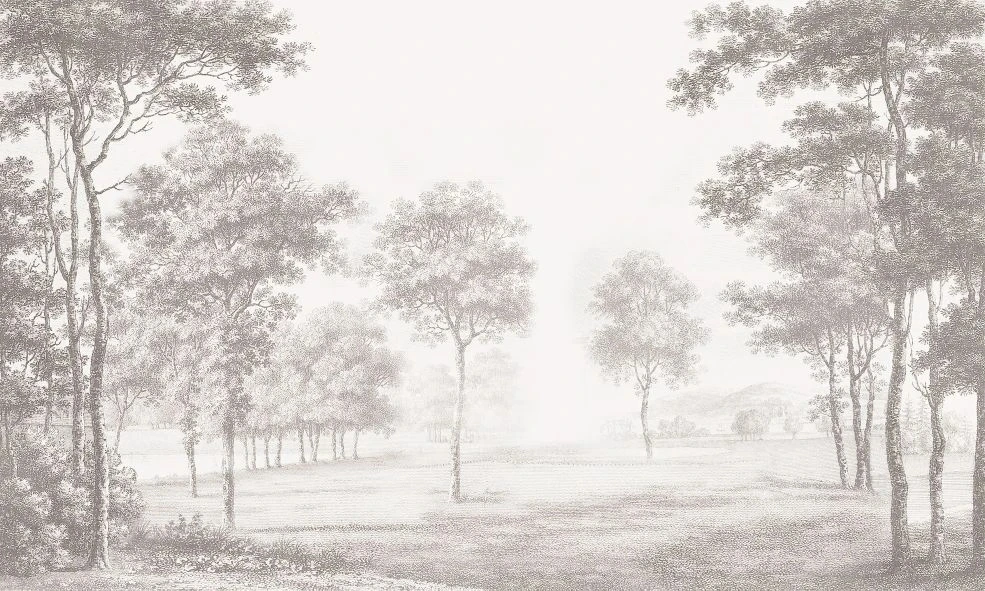 Фотообои на стену - пейзаж, графика, гравюра, лес, деревья, бежевые, в коридор, в прихожую, в загородный дом, новинки