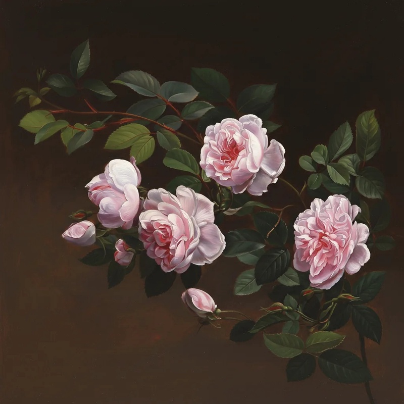 Фотообои и фрески на стену - цветы, розы, на чёрном фоне, розовые