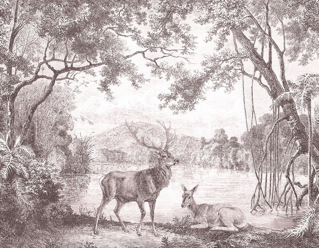 Фотообои и фрески на стену - пейзаж, обои гравюра, гравюра, олень, олени, графика, обои чёрный лес, тёмный лес обои, пейзаж природа обои