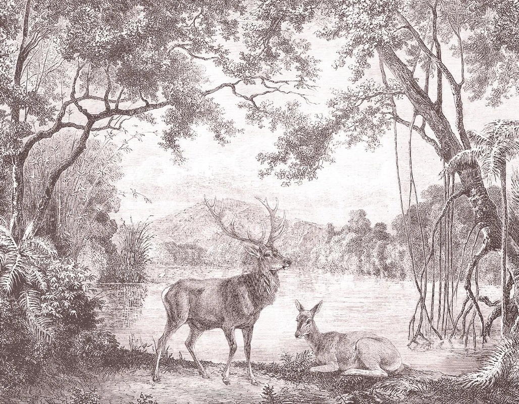 Фотообои и фрески на стену - пейзаж, обои гравюра, гравюра, олень, олени, графика, обои чёрный лес, тёмный лес обои, пейзаж природа обои