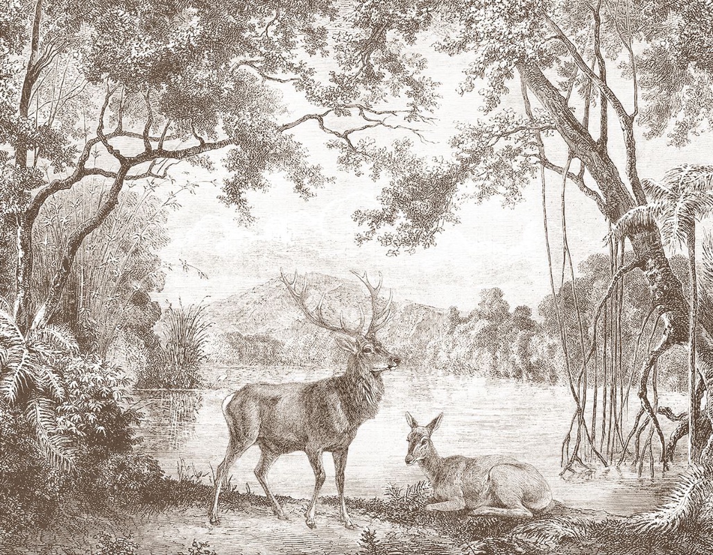 Фотообои и фрески на стену - пейзаж, графика, гравюра, обои гравюра, олени, лес, коричневые