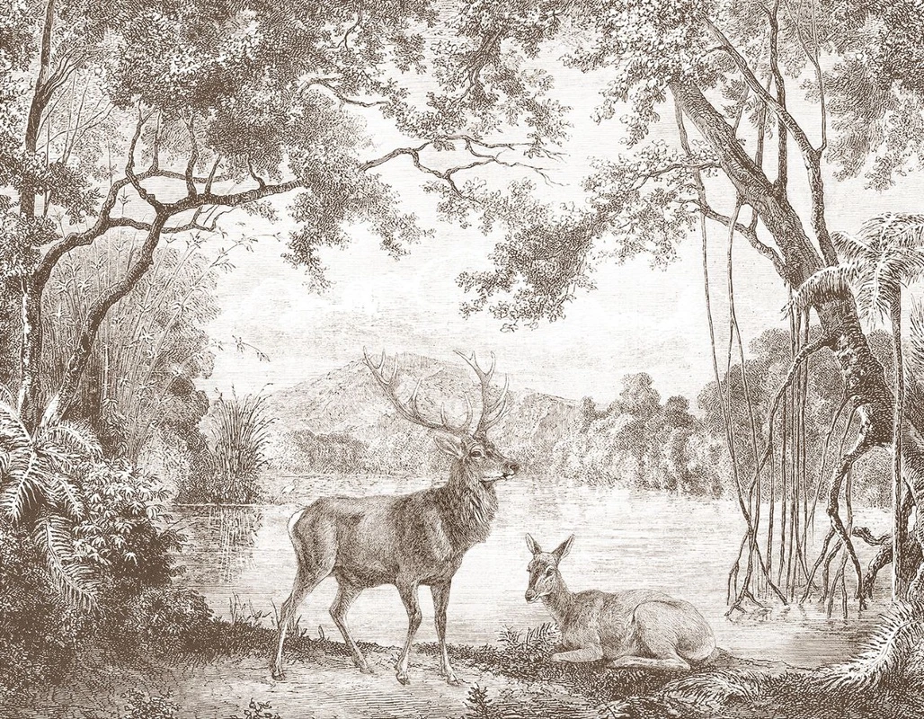 Фотообои и фрески на стену - пейзаж, графика, популярные, гравюра, обои гравюра, олени, лес, коричневые