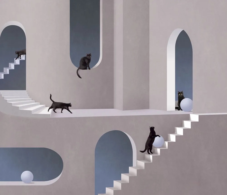 Фотообои и фрески на стену - ЗД, геометрия, сине-серая, лестницы с кошками