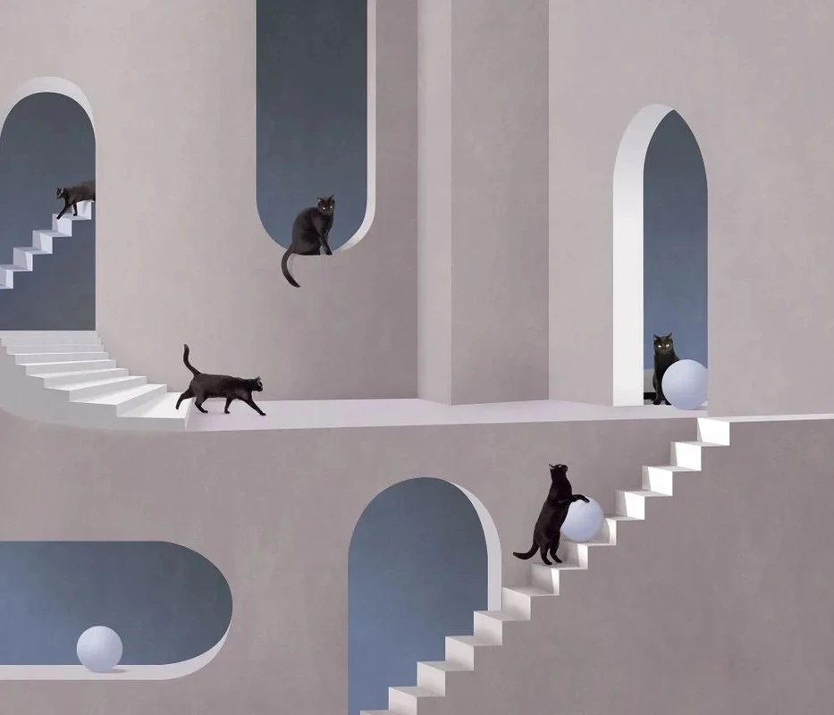 Фотообои и фрески на стену - ЗД, геометрия, сине-серая, лестницы с кошками