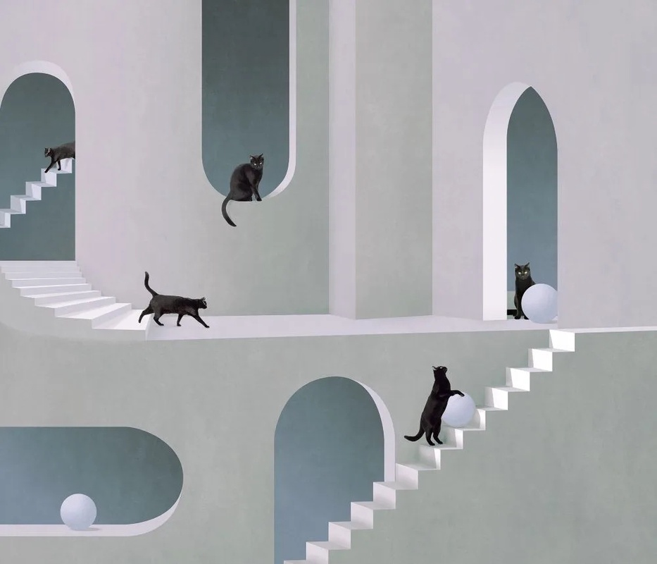 Фотообои и фрески на стену - 3Д, геометрия, серо-голубая, кошки на окнах, кошки в окнах