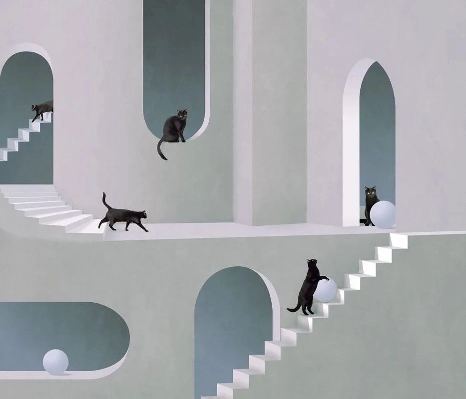 Фотообои и фрески на стену - 3Д, геометрия, серо-голубая, кошки на окнах, кошки в окнах
