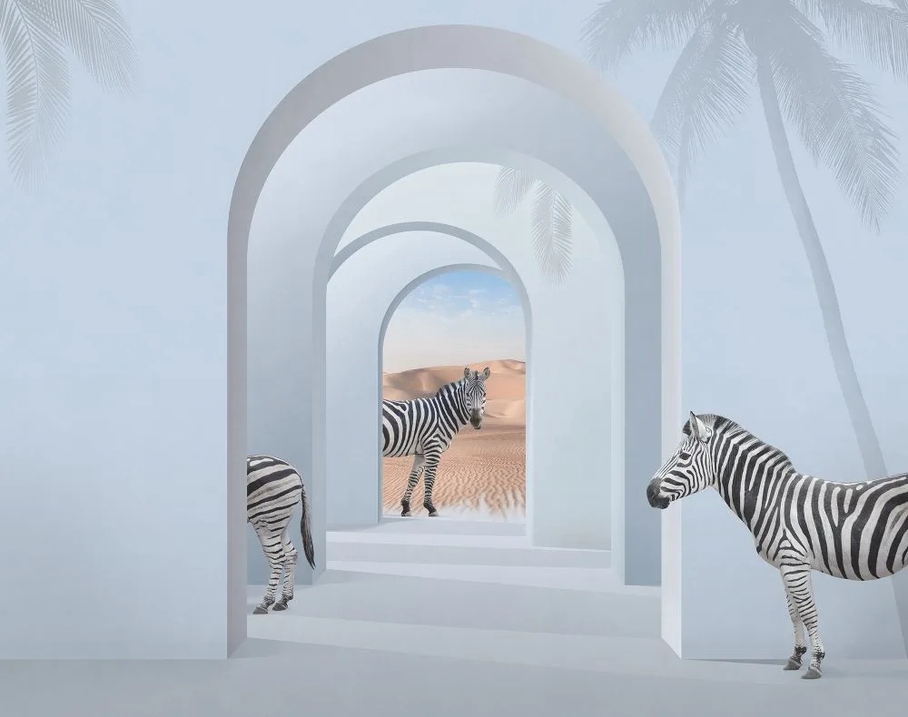 Фотообои и фрески на стену - геометрия, 3Д, арки, зебра