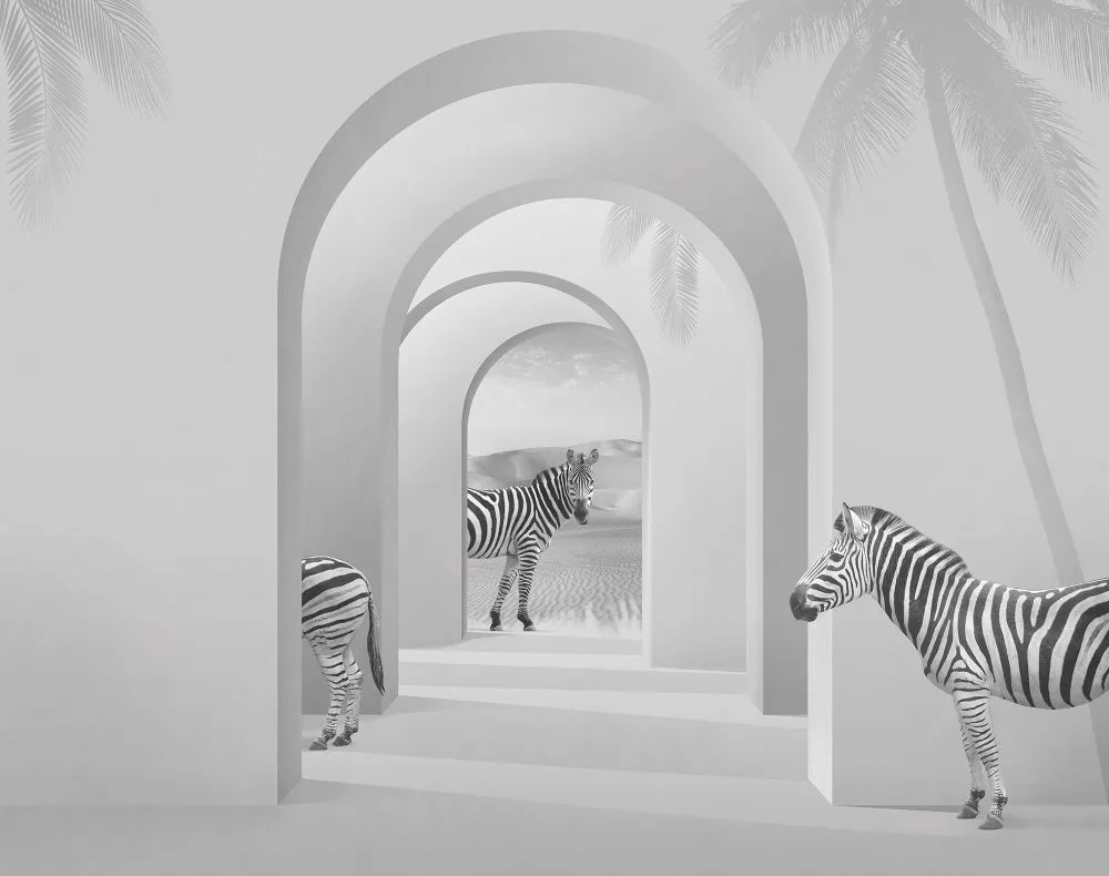 Фотообои и фрески на стену - геометрия, 3Д, арки, зебра, белые