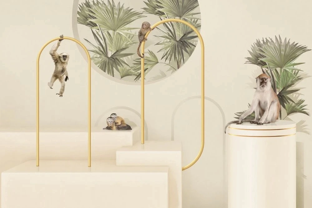 Фотообои и фрески на стену - геометрия, 3Д, белые, пальмы, обезьянки