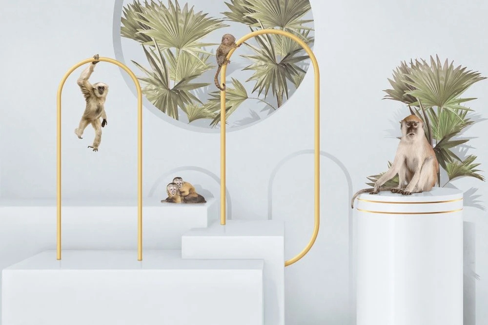 Фотообои и фрески на стену - геометрия, серая, пальмы, обезьянки, 3Д