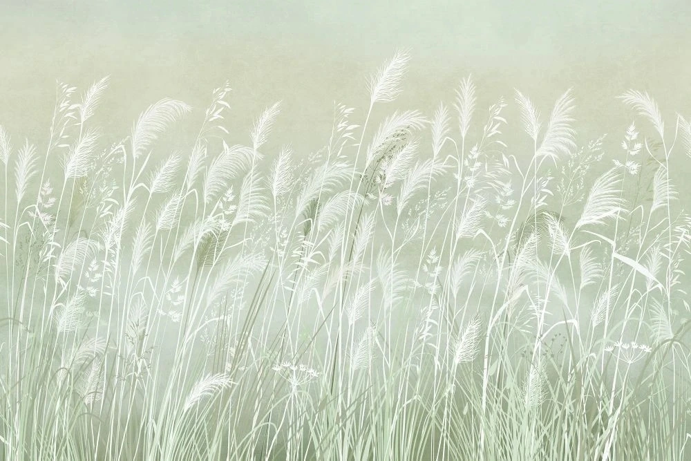 Фотообои и фрески на стену - в загородный дом, поле, колосья, светло зеленая, белые