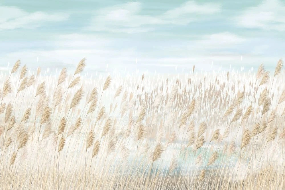 Фотообои и фрески на стену - в загородный дом, поле, колосья, бежево-голубая