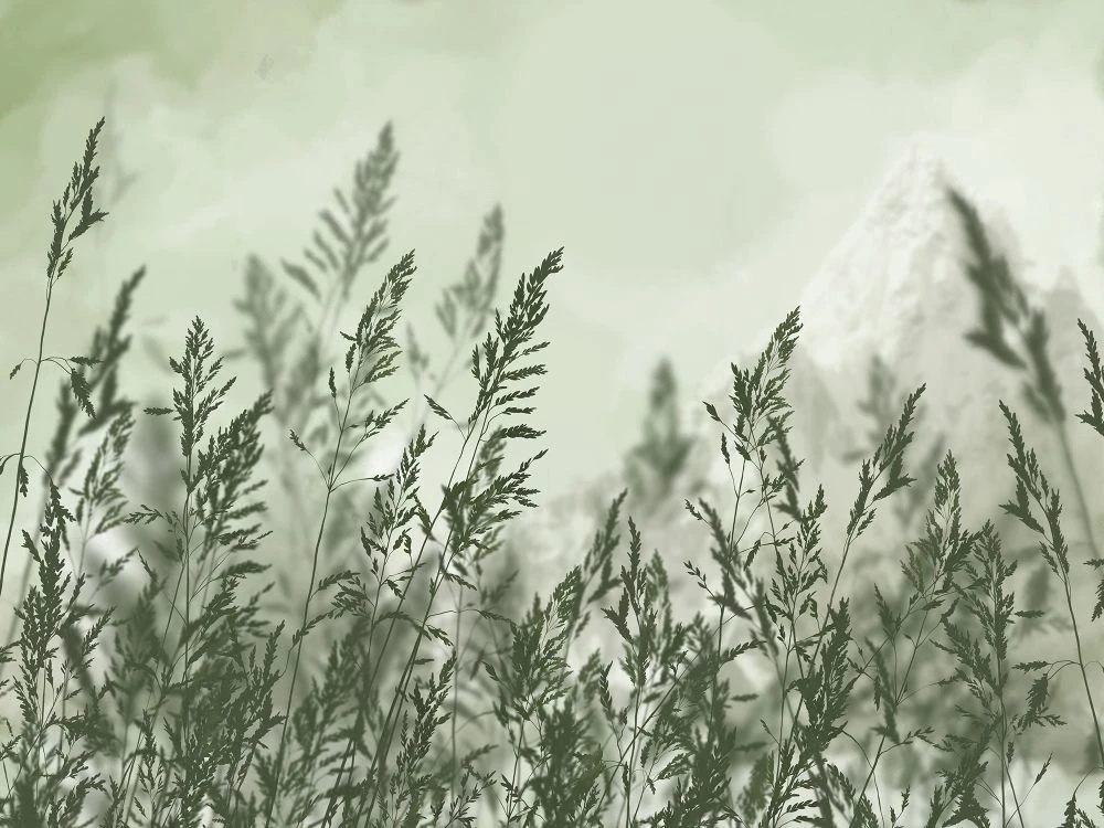 Фотообои и фрески на стену - в загородный дом, поле, колосья, серо-зеленая, графичная