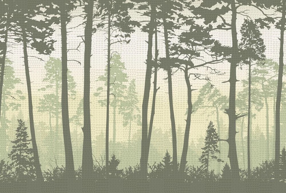 Фотообои и фрески на стену - пейзаж, лес, деревья, зеленый пейзаж, стволы