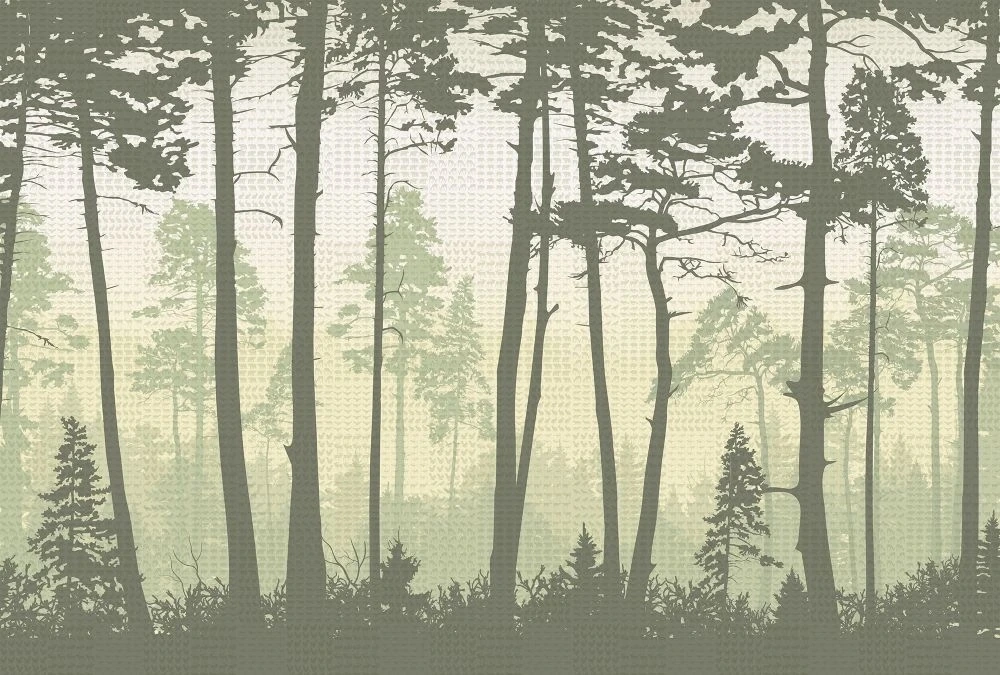 Фотообои на стену - пейзаж, лес, деревья, зеленый пейзаж, стволы