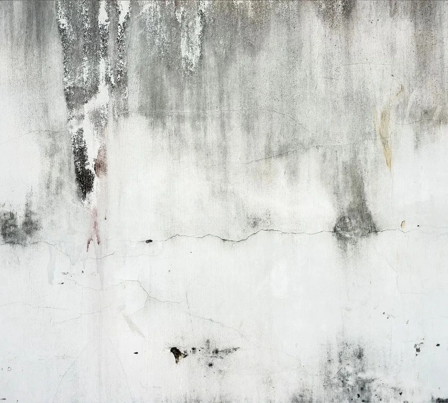 Фотообои и фрески на стену - лофт, серая, стена с трещинами