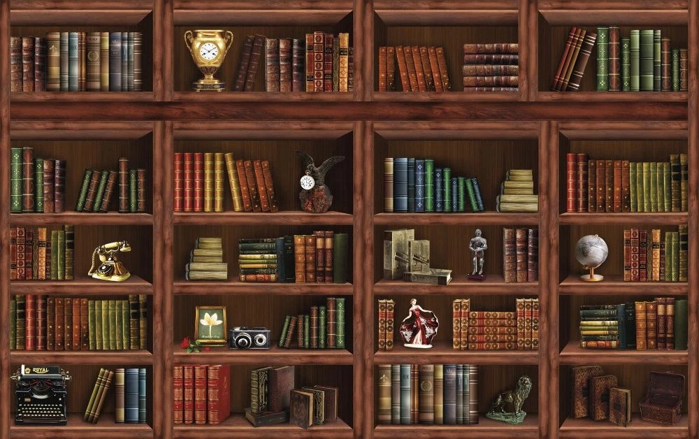 Фотообои на стену - лофт, книжные полки, коричневая, красные