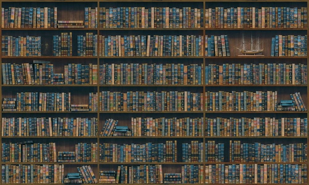 Фотообои и фрески на стену - лофт, книжные полки, синий