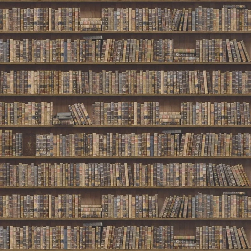 Фотообои и фрески на стену - лофт, полки книжные, серо-коричневая