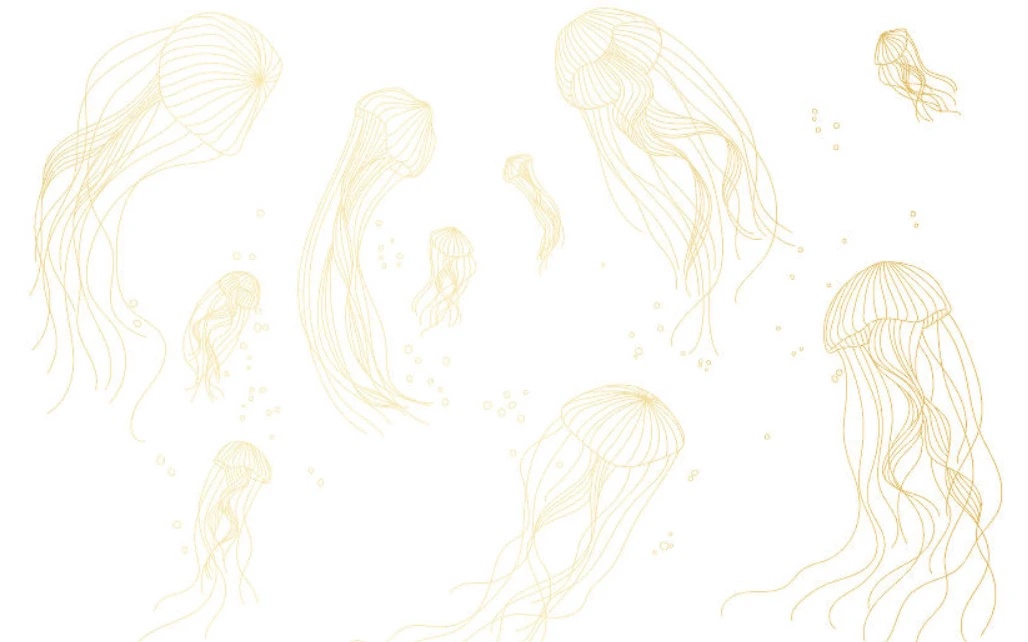 Фотообои и фрески на стену - графика, медузы, золотые линии, с золотом, золотая, на белом фоне