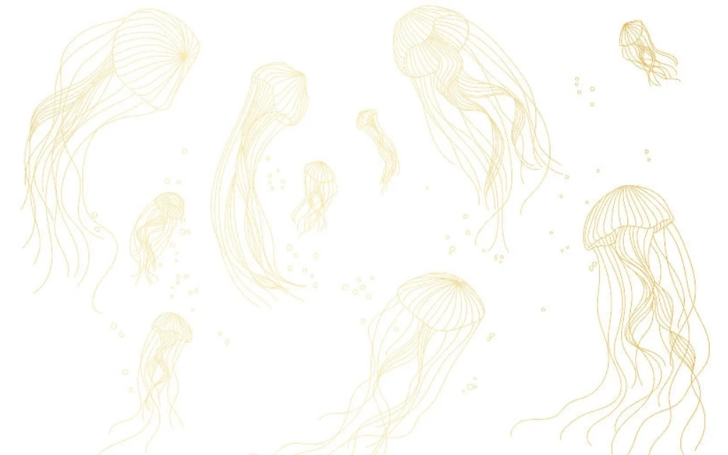 Фотообои на стену - графика, медузы, золотые линии, с золотом, золотая, на белом фоне