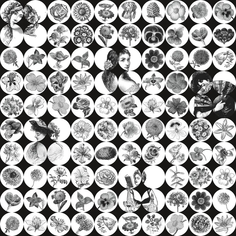 Фотообои на стену - в детскую комнату, цветы, лица девушек, черно-белые